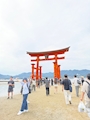 新着ブログ 広島~⛩️