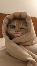 女の子の名前