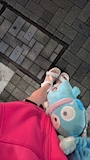chiko