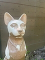 chiko