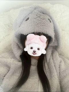 よし！トースト被って交差点でうろちょろしよう