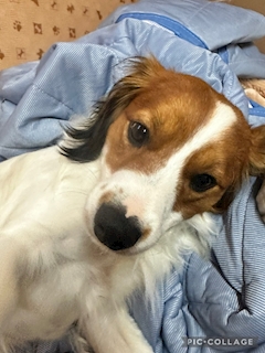 みどり