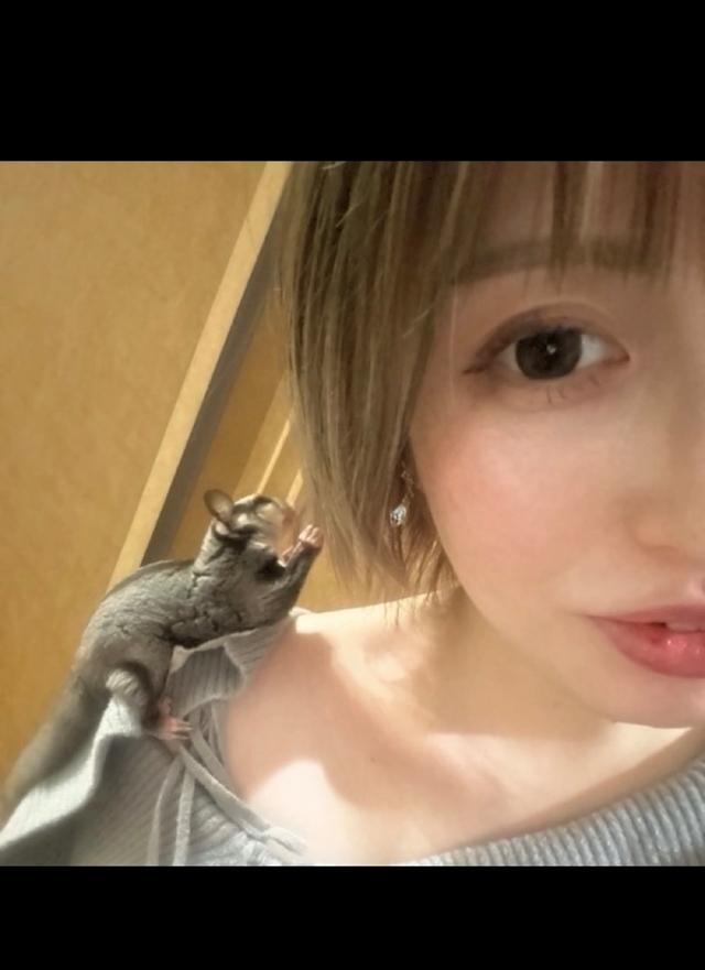 ゆめ club RISE