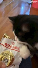 プロフィール動画