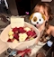 プロフィール写真3・りほ🧸🎀💞 CLUB Royal 浅草🏮｜浅草 キャバクラ・ロイヤル