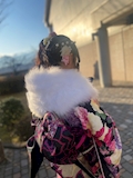 まい