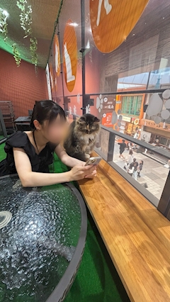 プロフィール写真1・りの｜宵桜・ヨイザクラ - 松山市のラウンジ/クラブ