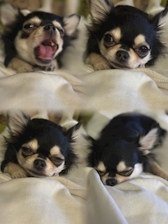 りん【Club RANKA】「爆裂愛してる（＾∇＾）」