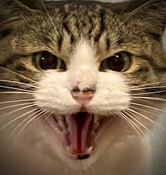 プロフィール写真3・Link｜Link・リンク - 今池のスナック