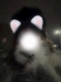 もも