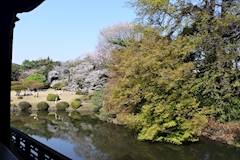 🔫リホ🔫VERETTA