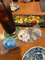 新着ブログ ぷるんっ