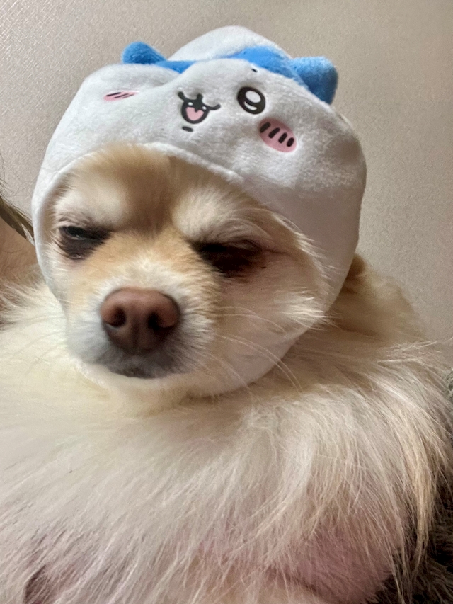 プロフィール写真1・さや｜