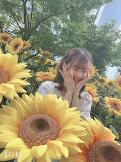 プロフィール写真4・ひまわり｜金山 ガールズバー・ネオガールズ