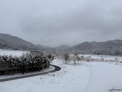 かれん「❄️」