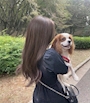 あかり