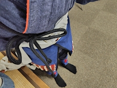 佐々木じゅん🐭🐭🐭🐭🐭