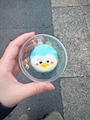 chiko