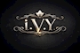 New Style Club i.V.Y