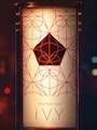 New Style Club i.V.Y