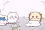 chiko