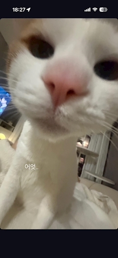 プロフィール写真5・しゅり｜調布 オブロングラウンジ