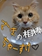 プロフィール写真4・さき🎤😽|湯島塾×TOMMY倶楽部・ユシマジュク トミークラブ - 湯島・上野のパブ/スナック