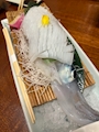 新着ブログ ♡