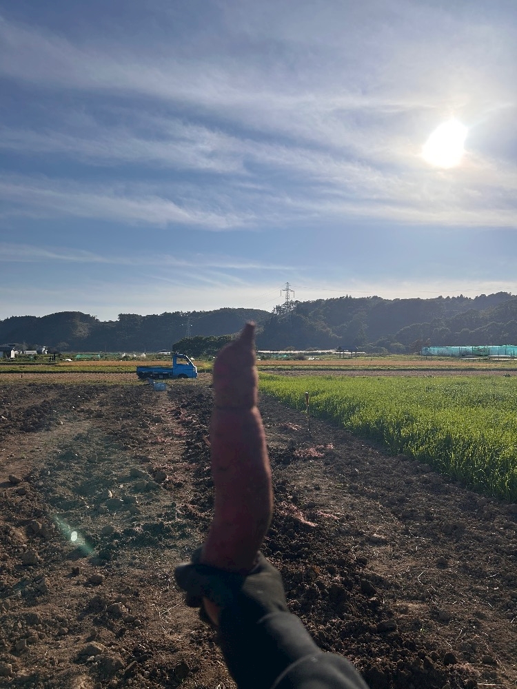 かれん