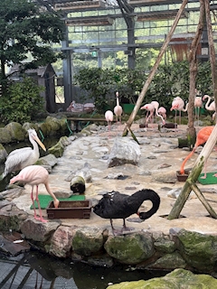 ありさ「島根旅行‼️」