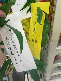 ありさ「お願い事🎋✨」