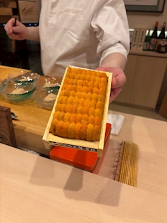 如月 ひな
