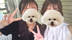 つき「本日浴衣ーー！！！」
