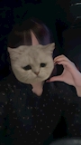 ナビ