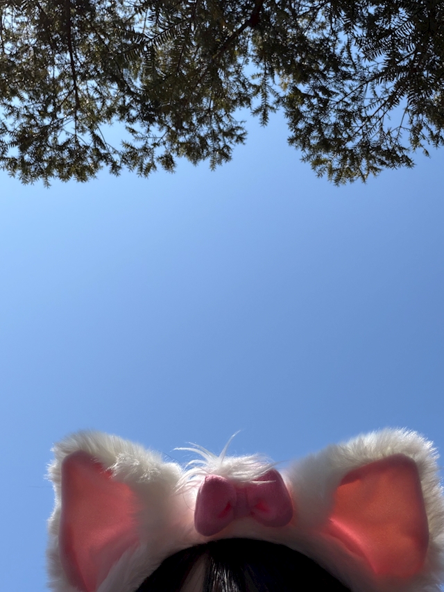 プロフィール写真1・はる|