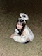 プロフィール写真3・ここ|天使のおしごと・てんしのおしごと - 大宮/南銀のコンカフェ