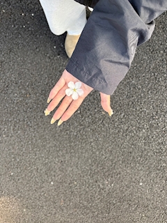 りお「春だね～‎( ˶ˆ꒳ˆ˵ )🌸」