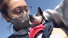 あかり
