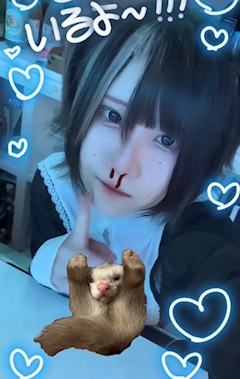 プロフィール写真3・そふぃあ( `ᴥ´ )|天馬幻想 by SWEET DREAMS・テンマゲンソウバイスウィートドリームス - 歌舞伎町のガールズバー