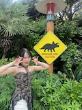 りあん