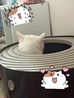 みどり