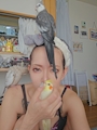 chiko