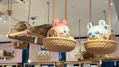 はち