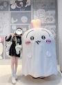chiko