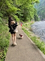 新着ブログ 🏞🌱‬‪