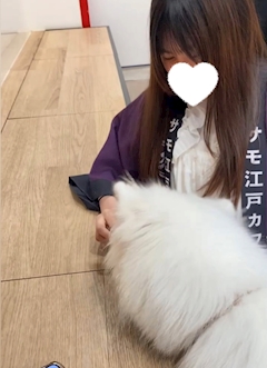プロフィール写真1・ひな|パジャマにおじゃま - 西葛西のガールズバー