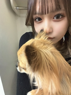 プロフィール写真1・ななみ|G Dream・ジードリーム - 京橋のキャバクラ