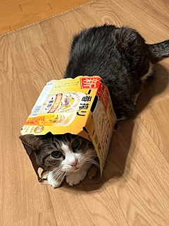 プロフィール写真3・あいな｜Bar Rose・ローズ - 東川口のガールズバー