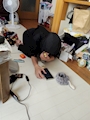 chiko