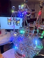 新着ブログ 🥳